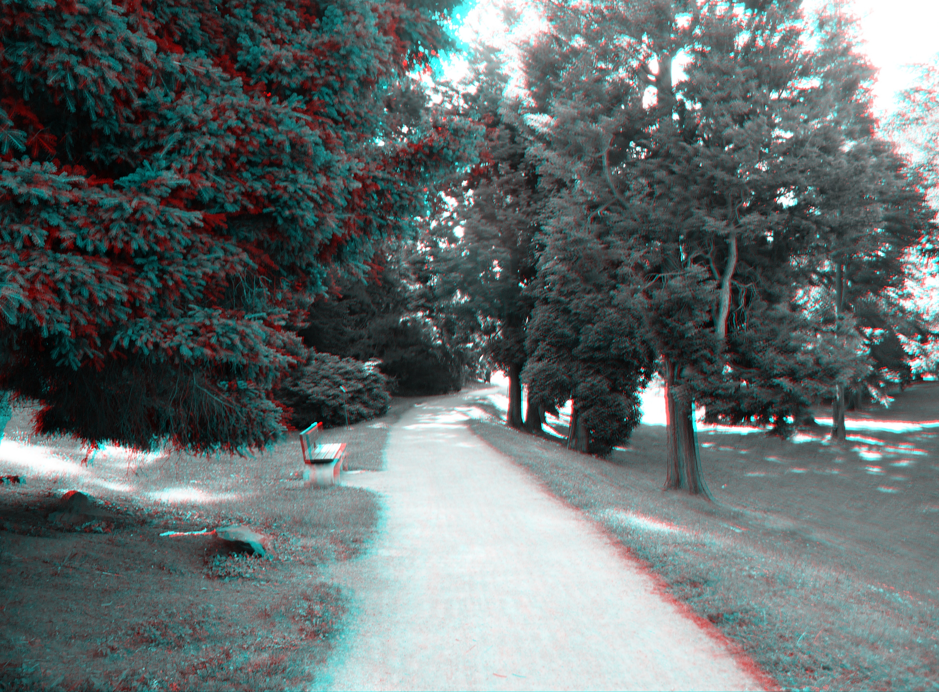 P1250014_3d