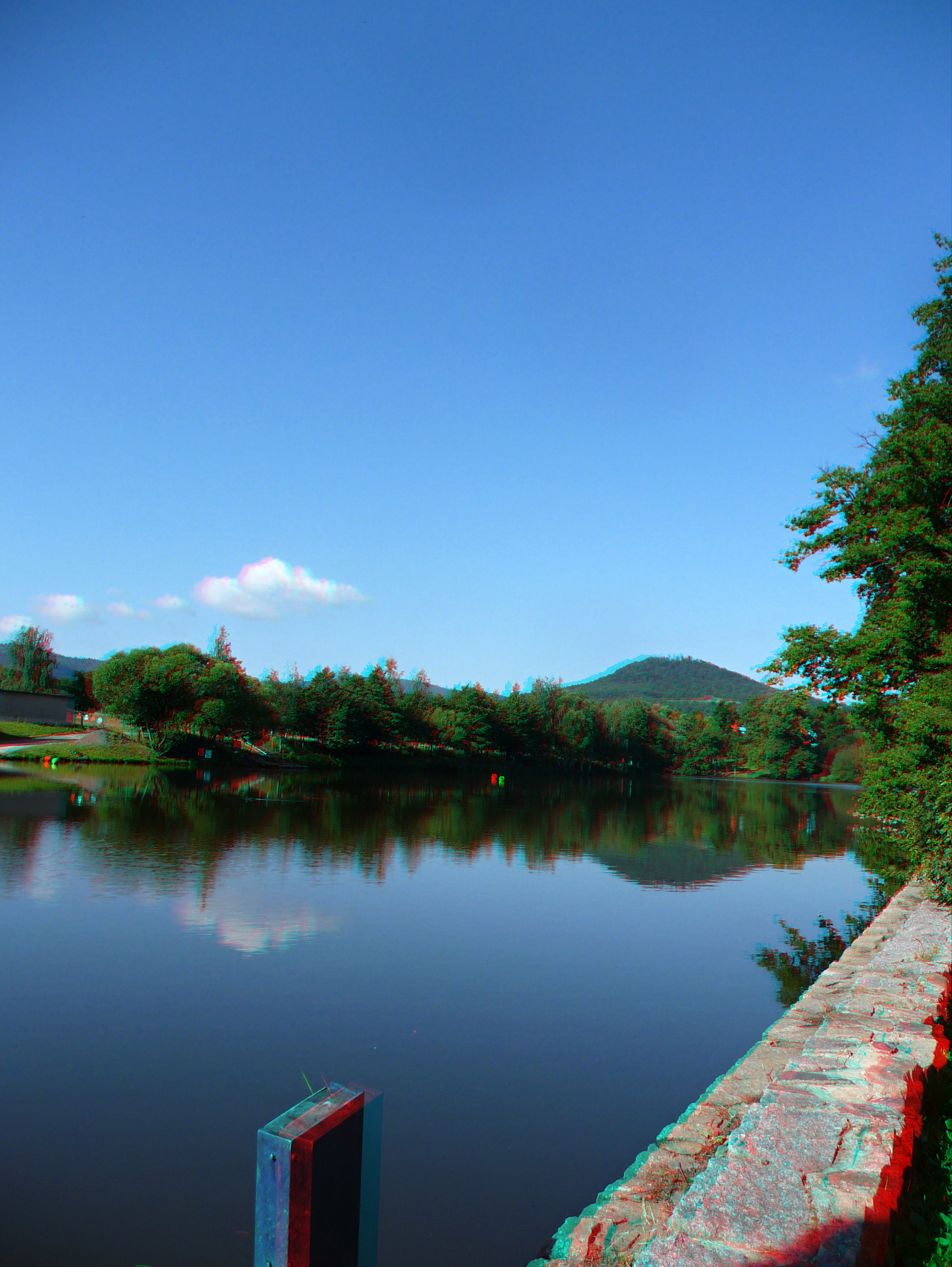 P1250042_3d