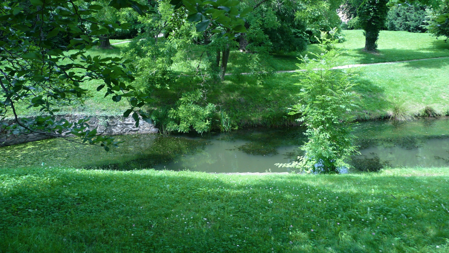 P1030099.JPG