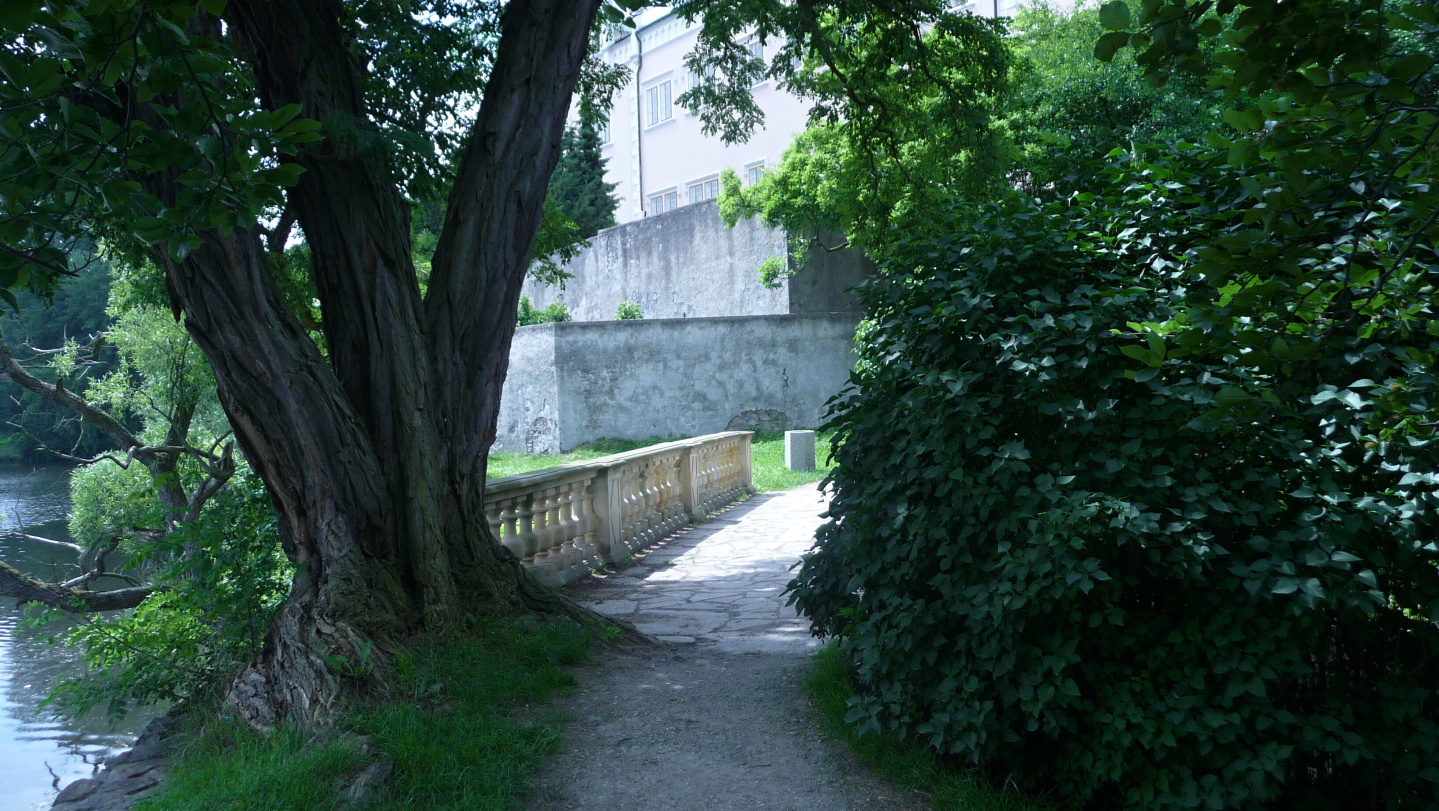 P1030100.JPG