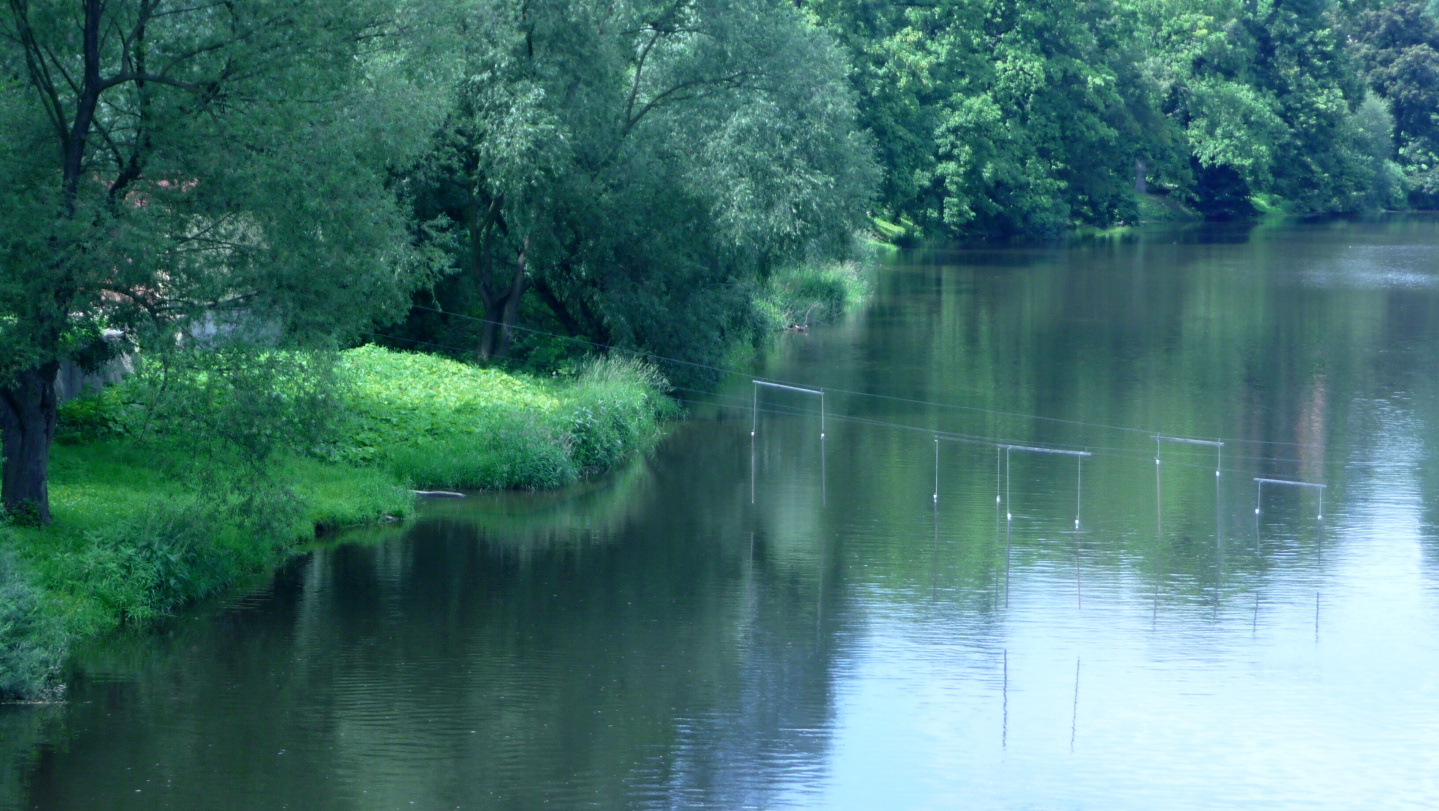 P1030165.JPG